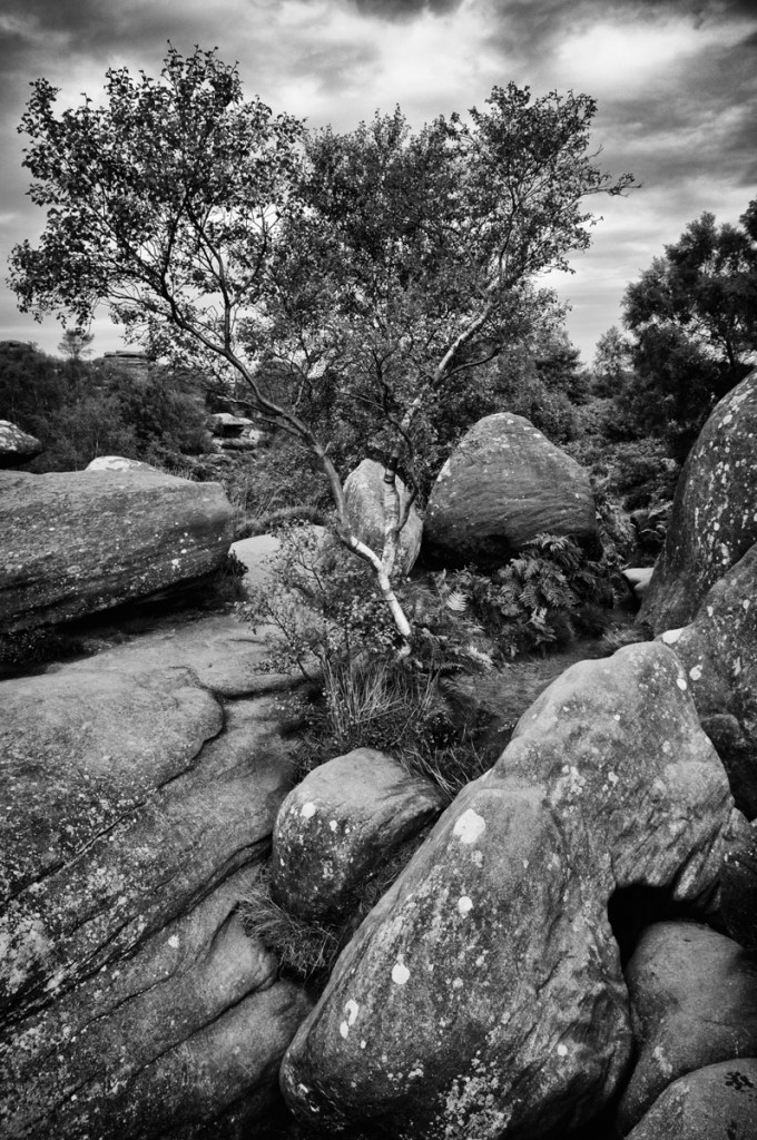 Brimham Rocks